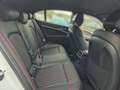 Genesis G70 Shooting Brake Sport 4WD Navi Leder Digitales Cock Weiß - thumbnail 14