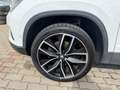 SEAT Ateca Ateca 2,0 Xcellence 4WD TDI Xcellence Weiß - thumbnail 11