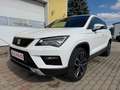 SEAT Ateca Ateca 2,0 Xcellence 4WD TDI Xcellence Weiß - thumbnail 5