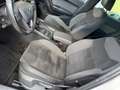 SEAT Ateca Ateca 2,0 Xcellence 4WD TDI Xcellence Weiß - thumbnail 20