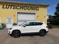 SEAT Ateca Ateca 2,0 Xcellence 4WD TDI Xcellence Weiß - thumbnail 3
