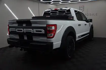 Annonce voiture d'occasion Ford F 150 - CARADIZE