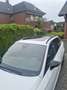 SEAT Leon St cupra 2.0 TSI DSG Start+stopp 4Drive Weiß - thumbnail 3