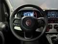 Fiat Panda 1.0 FireFly S&S Hybrid Pandina Rosso - thumbnail 12