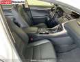 Lexus NX 300h 300H 4WD PREM MY20 Bianco - thumbnail 12