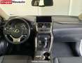 Lexus NX 300h 300H 4WD PREM MY20 Bianco - thumbnail 13