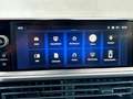 Opel Vivaro L 2.0 Kamera PDC 9 Sitzer Automatik Gri - thumbnail 14