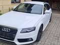 Audi A4 A4 2,0 TDI DPF Weiß - thumbnail 2