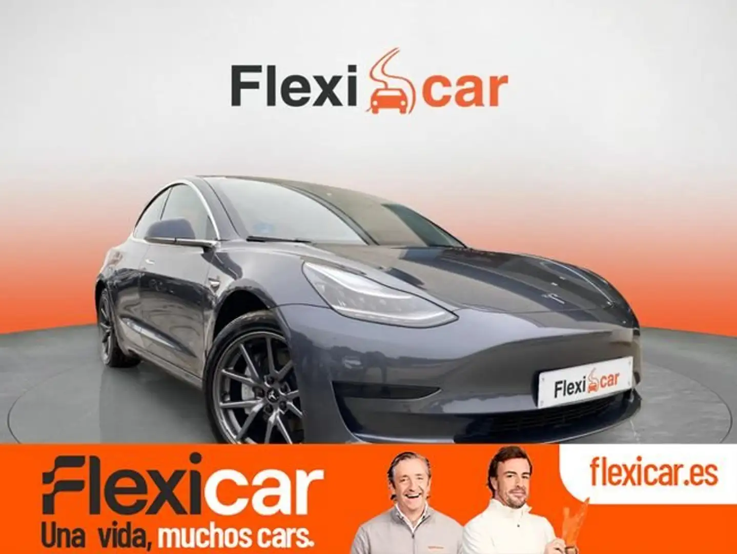 Tesla Model 3 Est%C3%A1ndar+Plus+RWD+%28Shanghai+Build%29 Grau - 1
