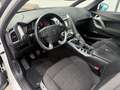Citroen DS5 Citroen DS5  2,0 HDI*Pano*Shzg*RFK*PDC Weiß - thumbnail 10