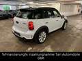 MINI Cooper S Countryman Navi,Leder,Bi-Xenon,2.Hd,18" Alb - thumbnail 6