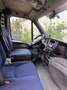 Iveco Daily Daily 50C18V(H2) Weiß - thumbnail 1