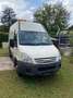 Iveco Daily Daily 50C18V(H2) Weiß - thumbnail 5