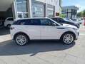 Land Rover Range Rover Evoque 2.0TD4 HSE 4WD Aut. 180 Wit - thumbnail 8