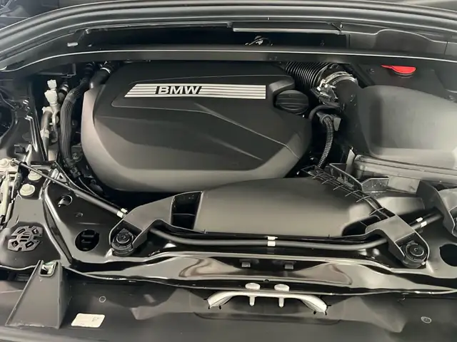 BMW X1 view 13