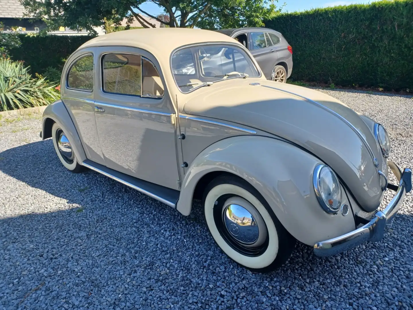 Volkswagen Coccinelle VW COX OVALE RESTAUREE Beige - 1