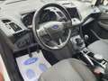 Ford C-Max 1.0 Ecoboost Auto-S&S Titanium 125 Bianco - thumbnail 6