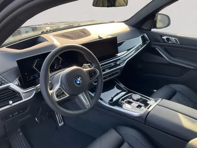 BMW X5 view 11