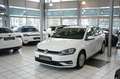 Volkswagen Golf VII Variant BMT/Start-Stopp *1.Hand Weiß - thumbnail 2