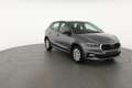 Skoda Fabia 1.0 TSI Selection, Tempomat, Park, Klima, SmartLin Grau - thumbnail 24
