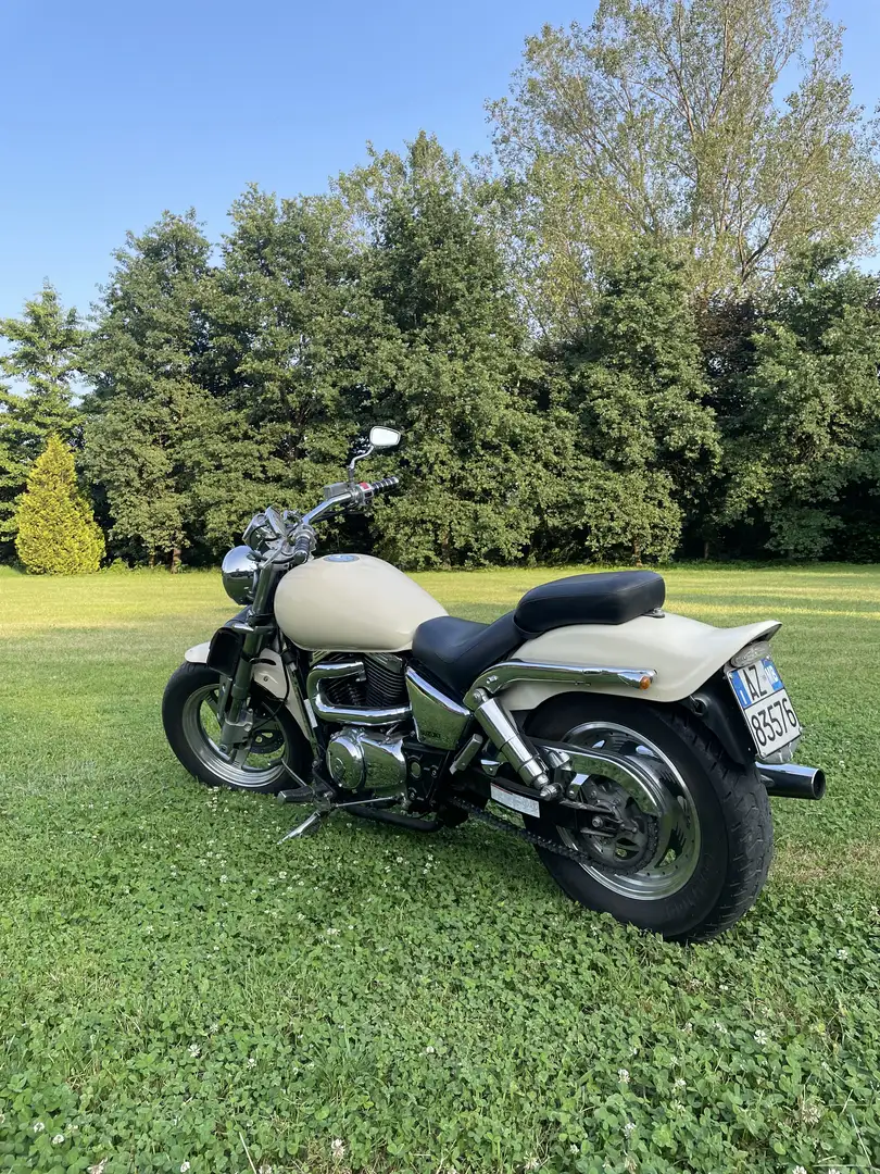 Suzuki VZ 800 Beige - 2
