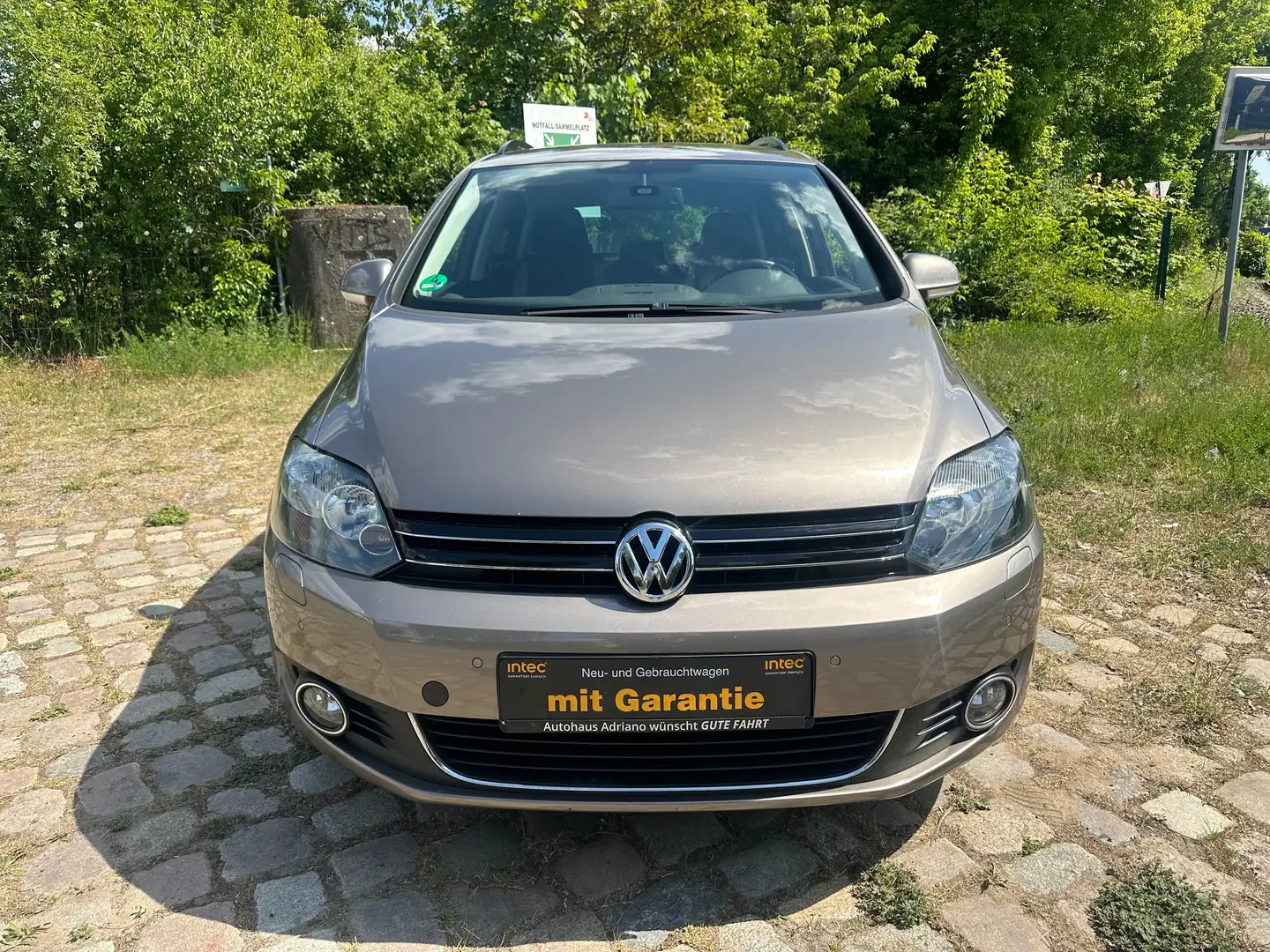 Volkswagen Golf Plus Life Brun - 1
