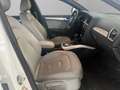 Audi A4 allroad - A4 Allroad 3.0 tdi Ambiente s-tronic Weiß - thumbnail 15