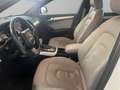 Audi A4 allroad - A4 Allroad 3.0 tdi Ambiente s-tronic Weiß - thumbnail 13