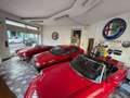 Alfa Romeo 33 1.3 V Czerwony - thumbnail 1
