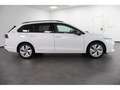 Volkswagen Golf VIII Variant 1.5 TSI Goal LED,Navi,RFK,A Weiß - thumbnail 4