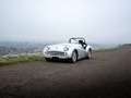 Triumph TR3 Gris - thumbnail 24
