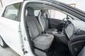 Renault ZOE Intens 50 R110 80kW Blanco - thumbnail 15