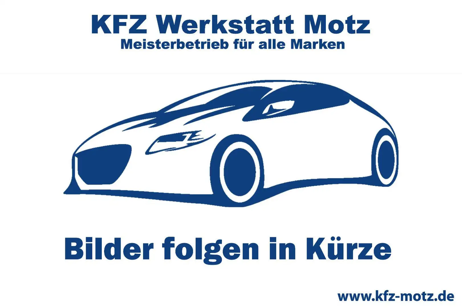 Volkswagen T5 Multivan Highline Grau - 1