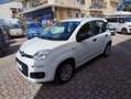 Fiat Panda 1.3 MJT 95 CV S&S Easy Bianco - thumbnail 8