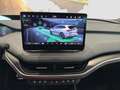 Skoda Enyaq RS Grau - thumbnail 11