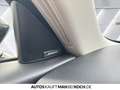 Mazda CX-60 AWD PHEV HOMURA BOSE PANO 360v Matrix SCBS Schwarz - thumbnail 24