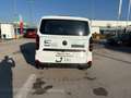 Volkswagen T7 Transporter VW Transporter T7 Kastenwagen LR TDI Weiß - thumbnail 6