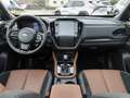Subaru Forester 2.0ie AWD Aut. Platinum/ACC/Pano/Leder Beige - thumbnail 10