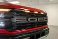 Ford F 150 NEW! 2024 Raptor € 107500 +801A Raptor® High Rood - thumbnail 3