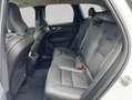 Volvo XC60 XC60 B4 AWD Plus-Dark Aut Leder BLIS PilotAssist Weiß - thumbnail 12