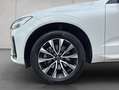 Volvo XC60 XC60 B4 AWD Plus-Dark Aut Leder BLIS PilotAssist Weiß - thumbnail 16