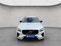 Volvo XC60 XC60 B4 AWD Plus-Dark Aut ACC BLIS AHK Leder Weiß - thumbnail 6