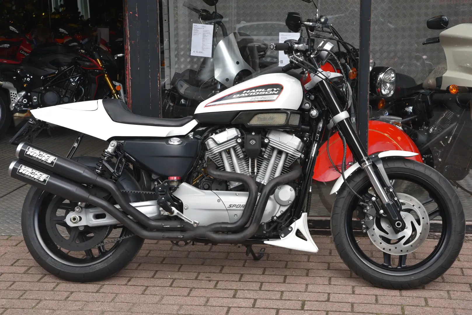 Harley-Davidson XR 1200 ***MOTO VERTE*** Blanc - 2