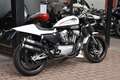Harley-Davidson XR 1200 ***MOTO VERTE*** Blanc - thumbnail 3