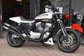 Harley-Davidson XR 1200 ***MOTO VERTE*** Blanc - thumbnail 1