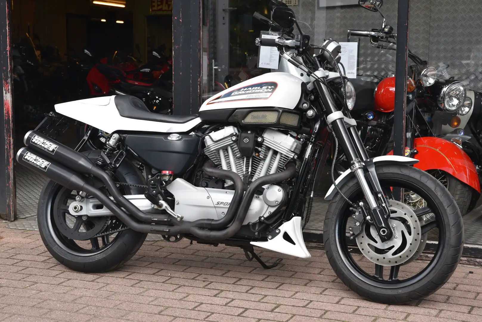 Harley-Davidson XR 1200 ***MOTO VERTE*** Blanc - 1