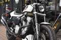 Harley-Davidson XR 1200 ***MOTO VERTE*** Blanc - thumbnail 5