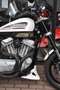 Harley-Davidson XR 1200 ***MOTO VERTE*** Blanc - thumbnail 4