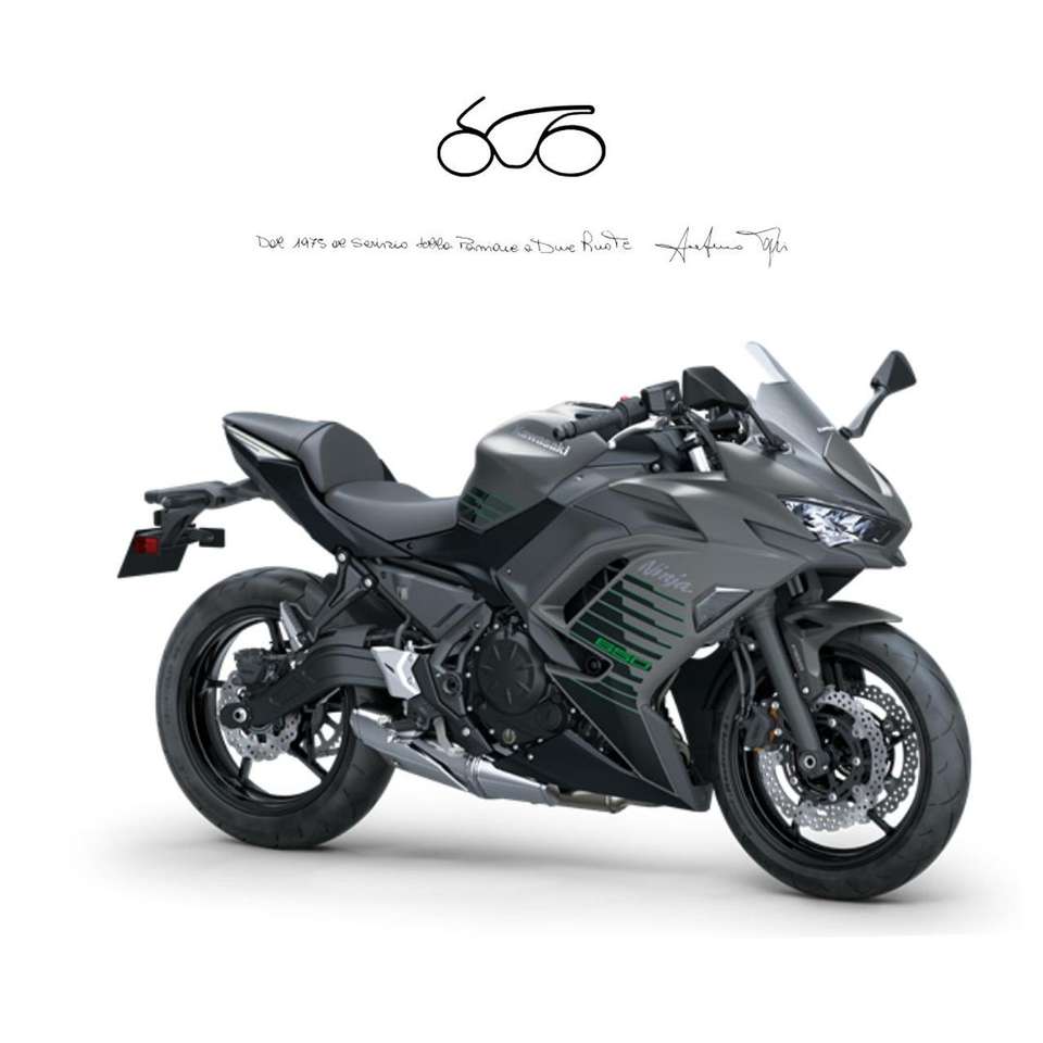 Kawasaki Ninja 650 .