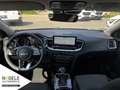 Kia Ceed / cee'd Ceed 1.5 T-GDI 48V Ultimate|Style|Navi|LED  Autom. Negro - thumbnail 9